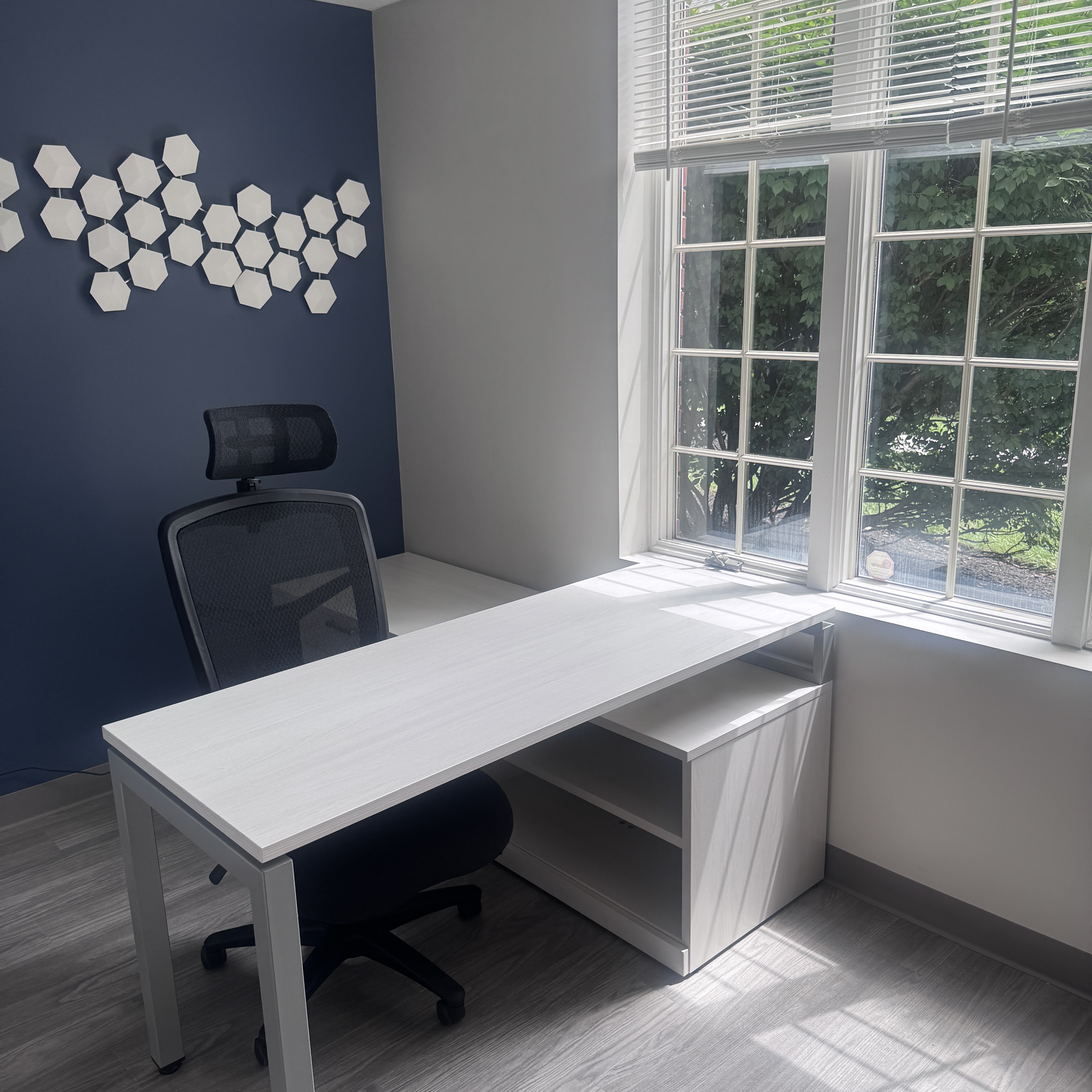 Consultation room at IGEA's Hillsborough, NJ office