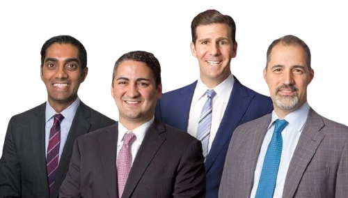 IGEA's professional team picture